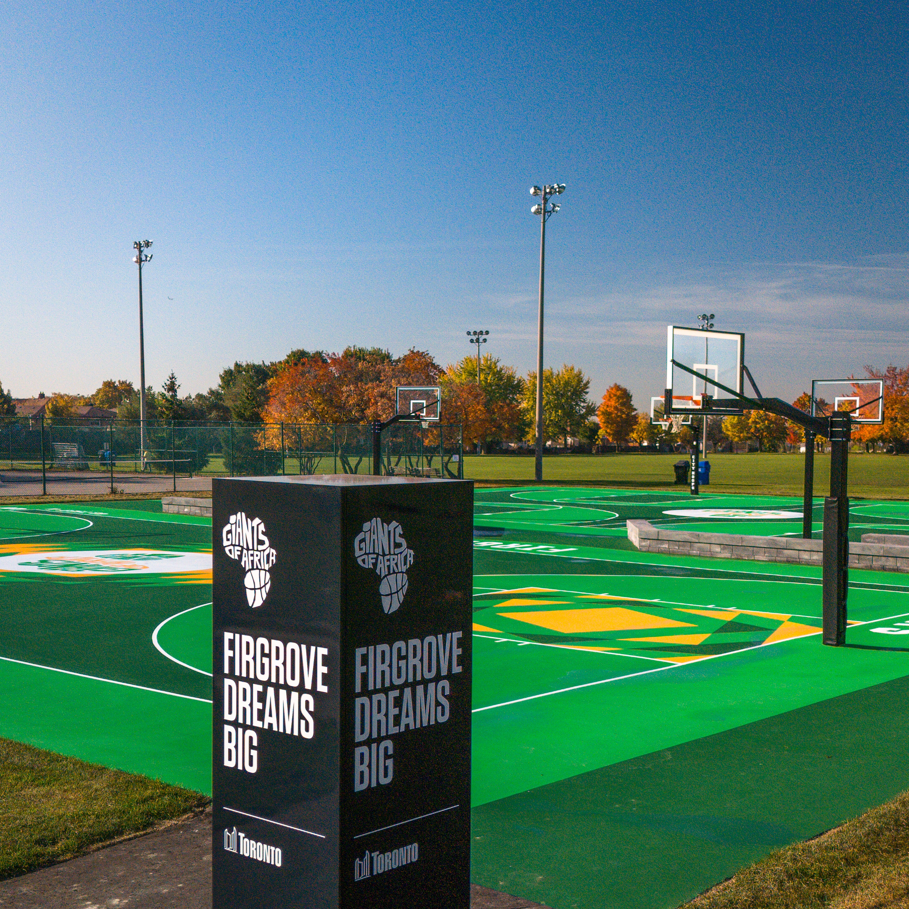 Gooseneck+ Basketball Hoop - City Hoops